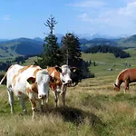 Apartmenthaus Waldhorn Apartment