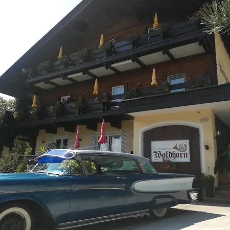 Apartmenthaus Waldhorn Apartamento