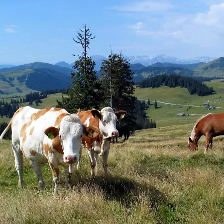 Apartmenthaus Waldhorn Apartment