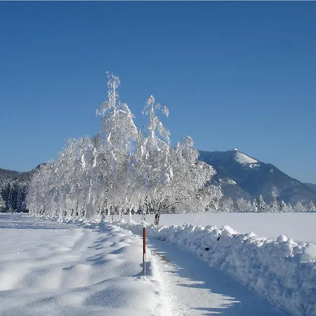 Apartmenthaus Waldhorn Sankt Wolfgang im Salzkammergut