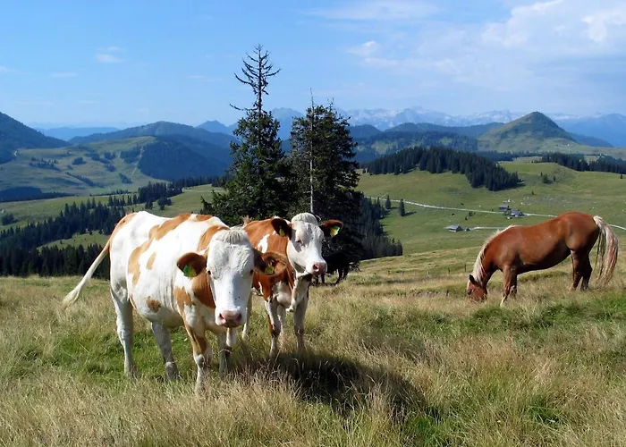 Apartmenthaus Waldhorn شقة