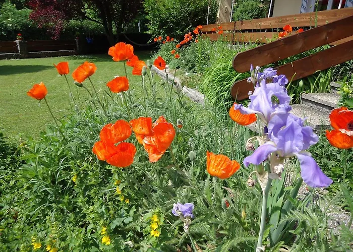 Apartmenthaus Waldhorn