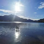 Apartmenthaus Waldhorn *